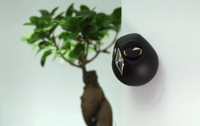 Ulo The Interactive Owl Security Camera Ulo The Interactive Owl Security Camera