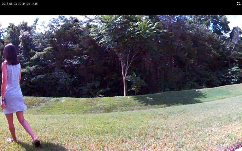 Arlo camera quality snapshot. Arlo camera quality snapshot.