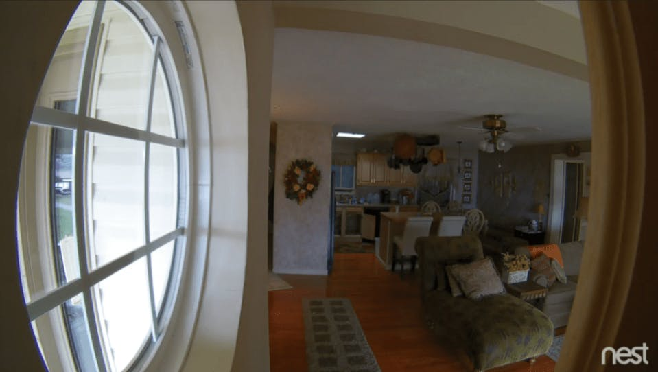 Snapshot from Nest Cam Snapshot from Nest Cam