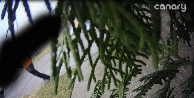 Snapshot from Canary Flex Snapshot from Canary Flex